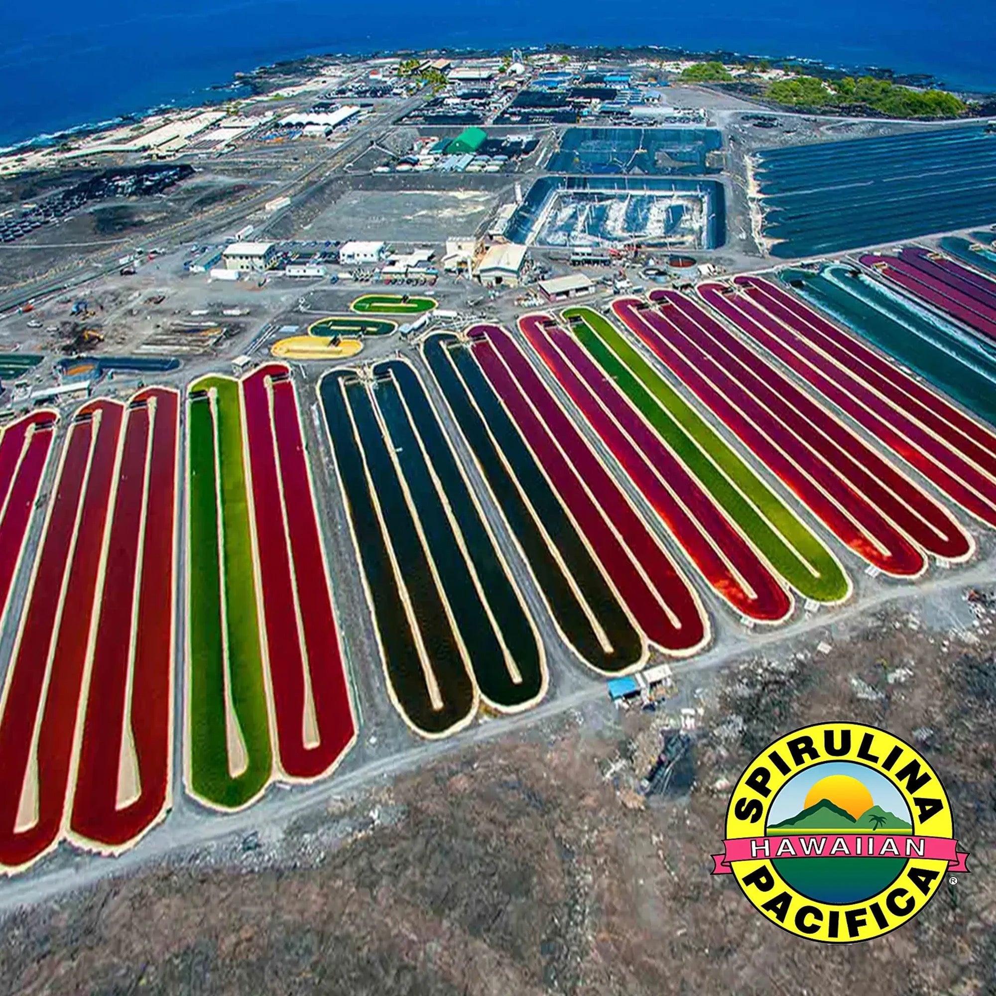 HAWAIIAN Spirulina Pacifica Toz 100 g