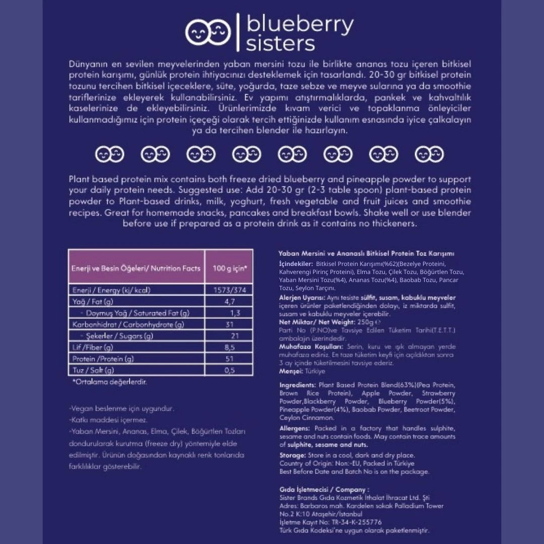 BLUEBERRY SISTERS Yabanmersini, Ananaslı Bitkisel Protein 250 g