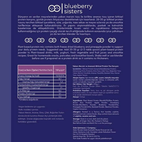 BLUEBERRY SISTERS Yabanmersini, Ananaslı Bitkisel Protein 250 g