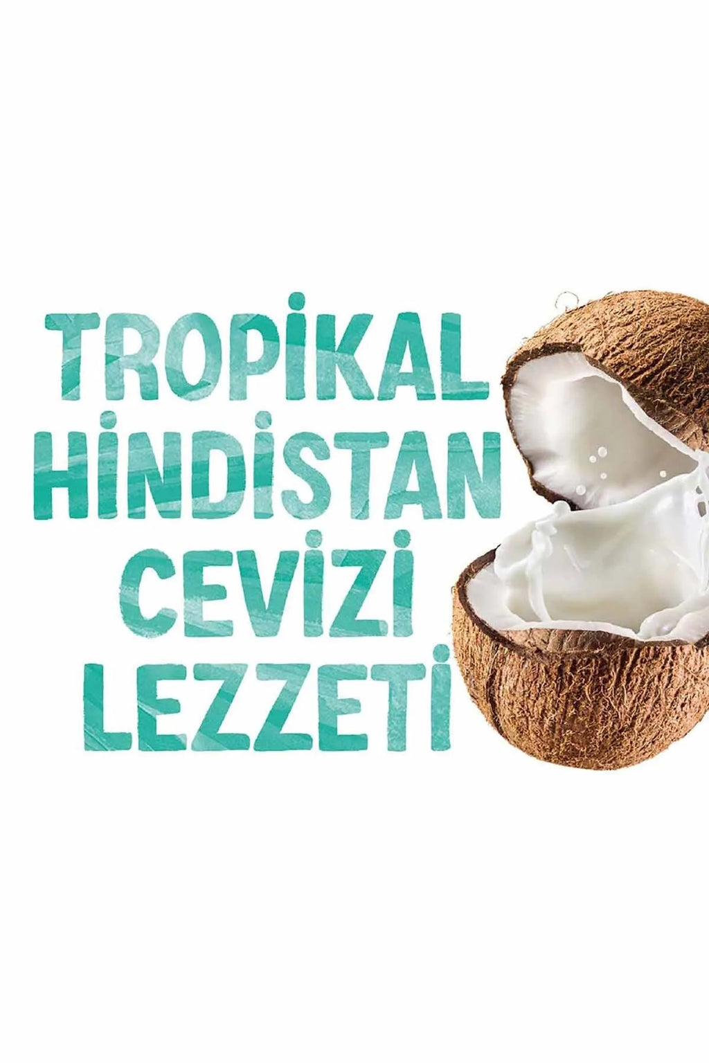 ALPRO Hindistan Cevizi Sütü 1 L