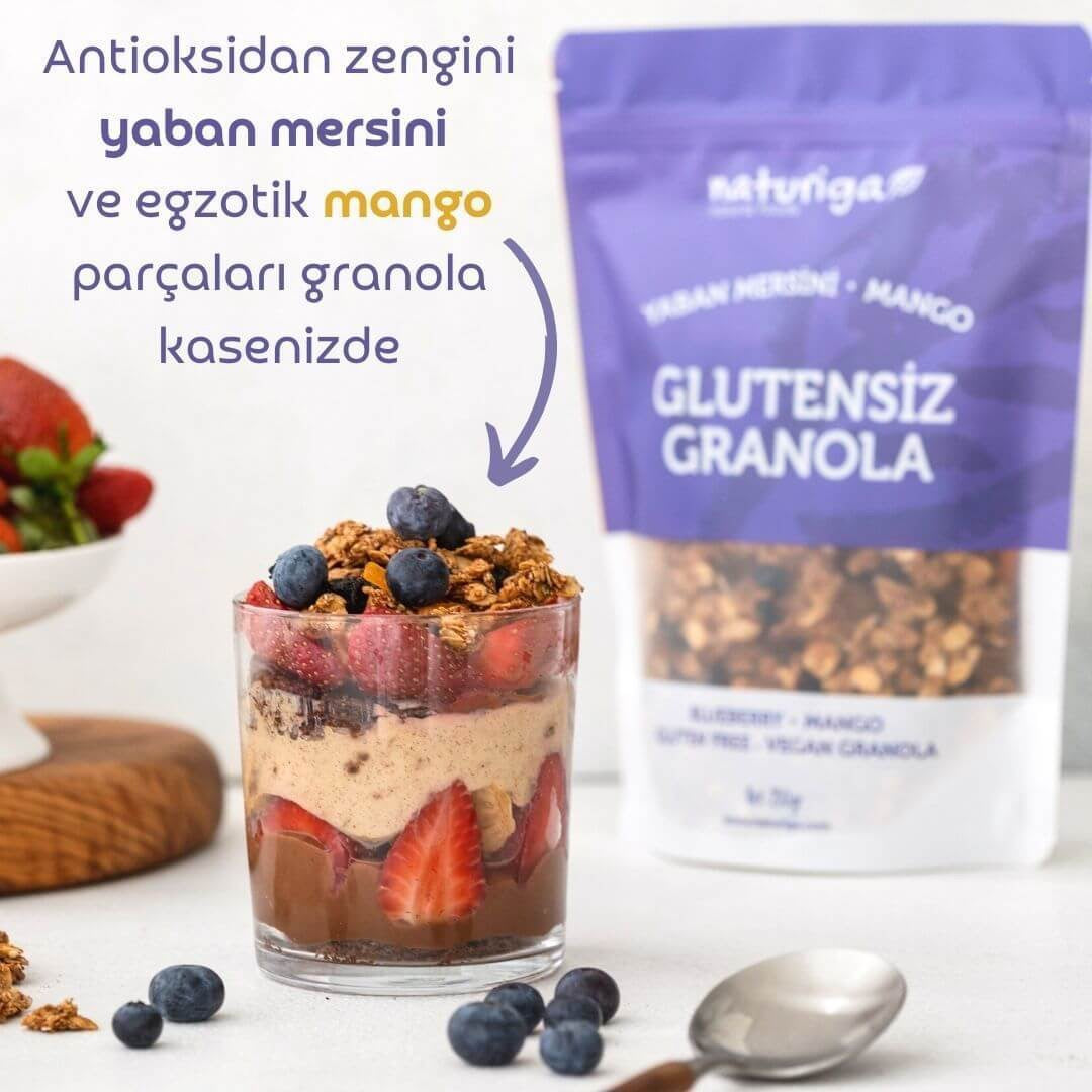 NATURIGA Glutensiz Yaban Mersini & Mangolu Vegan Granola 250 g